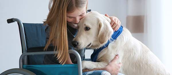 Young girl in wheelchair with her dog