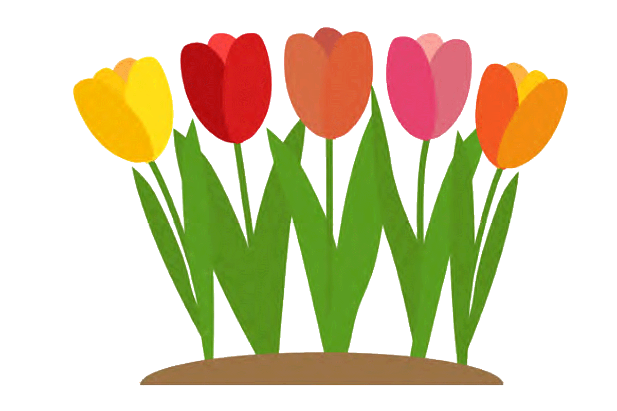 Illustration of tulips in the ground