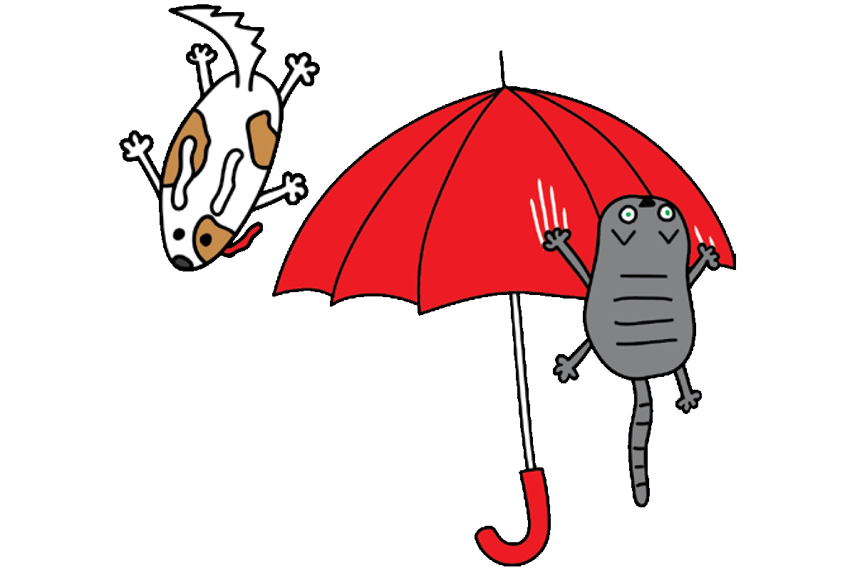 Cartoon umbrella with falling cat and dog